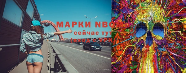 крисы Богородск