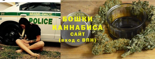 крисы Богородск