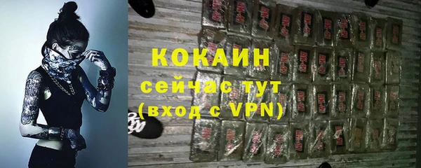 крисы Богородск